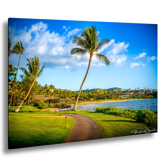 Wailea Walking Path Print - Tropical Island Wall Art | Premium Canvas Decor
