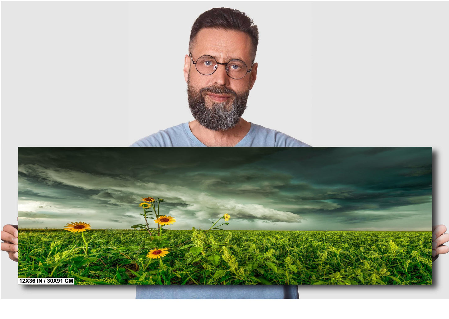 Stormy Sky Wall Art - Moody Landscape Print | Sunflower Wall Decor | Ready to Hang Canvas