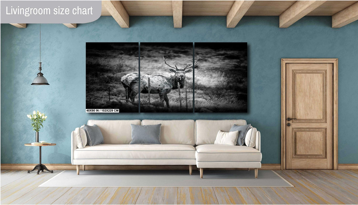 Elk Wall Art - Rocky Mountain Decor | Wildlife Wall Decor for Nature Lovers