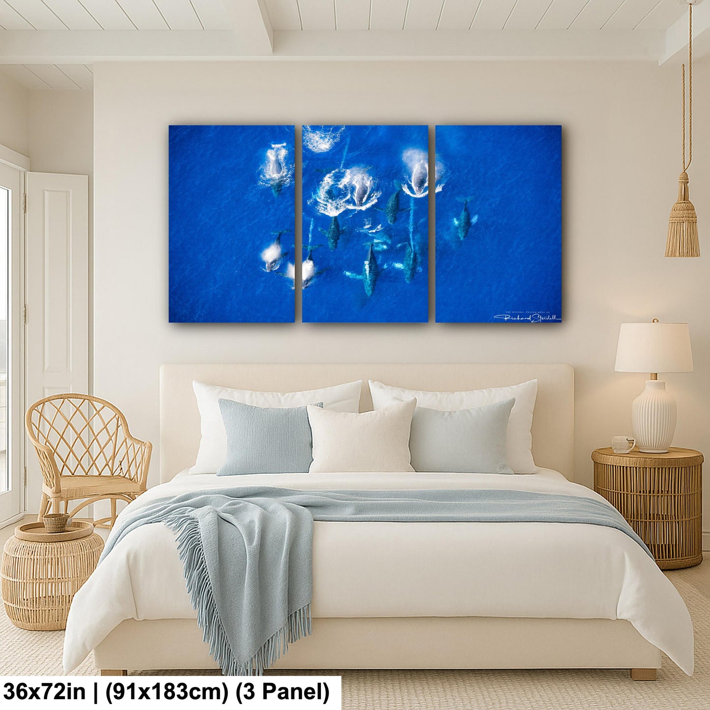 Humpback Whale Wall Art – Ocean Animal Print | Ready To Hang Canvas & Metal