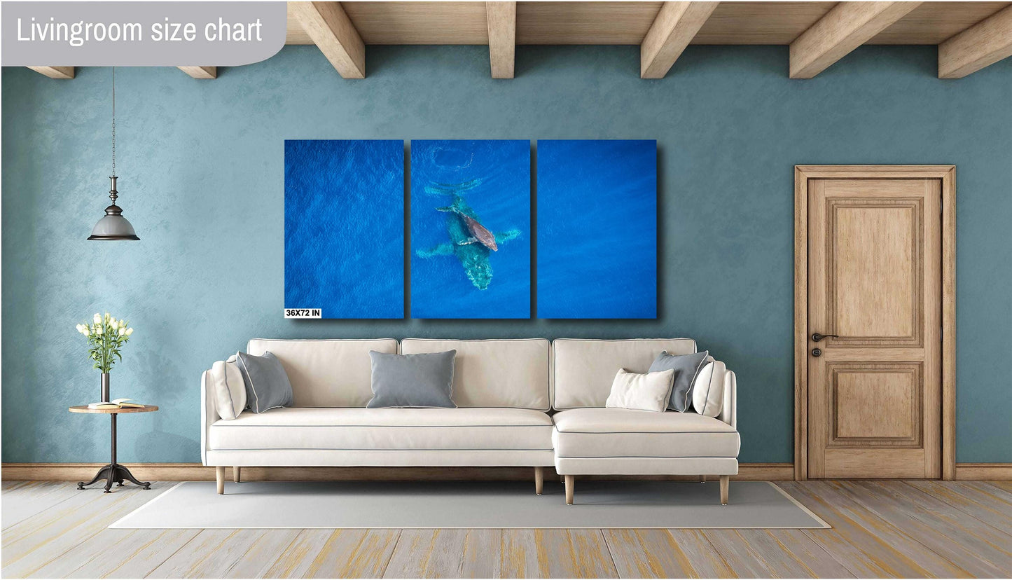 Maui Whale Wall Art | Hawaiian Whale Art – Coastal Home Decor Canvas