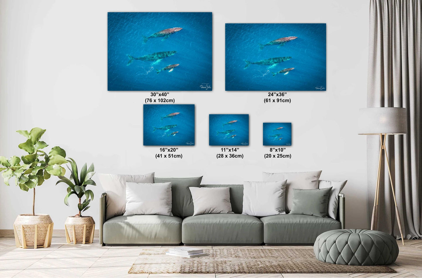 Humpback Whale Wall Art – Marine Home Decoration | Vibrant Ocean Canvas Print