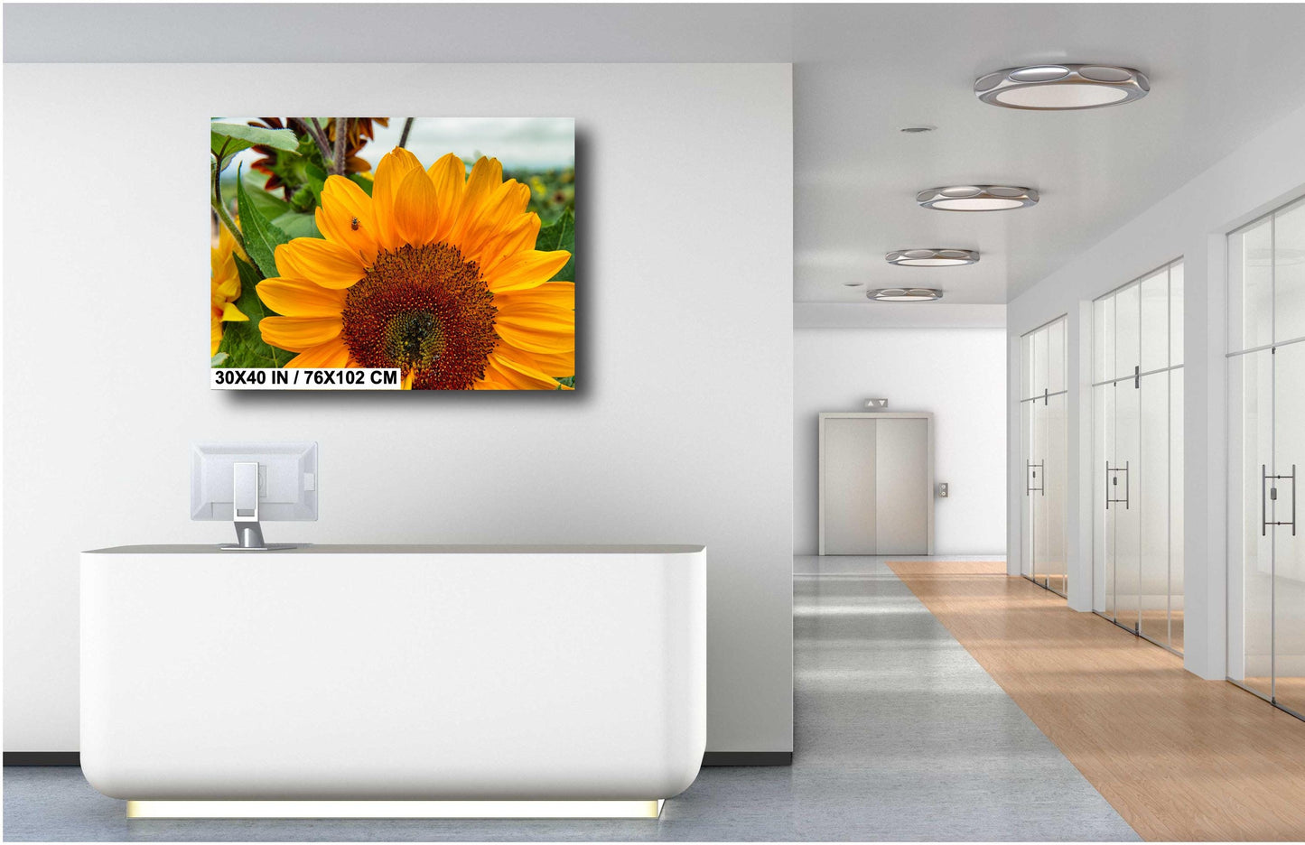 Yellow Sunflower Wall Art - Vibrant Ladybug On Sunflower Canvas Print Decor