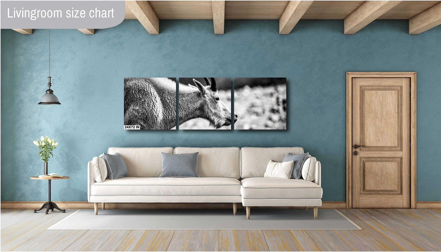 Mountain Goat Wall Art – Rustic Wildlife Photography Print | Black & White Decor