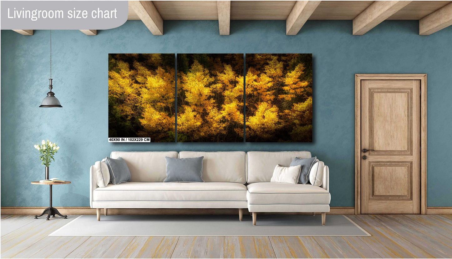 Golden Aspen Trees Print - Vibrant Fall Foliage Canvas | Nature Wall Decor