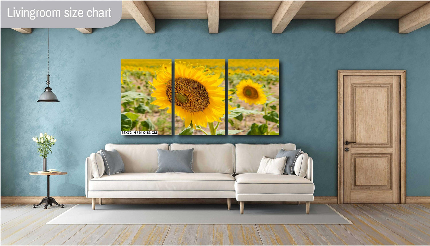 Sunflowers Photography Print - Vibrant Floral Wall Art | Acrylic, Canvas & Metal