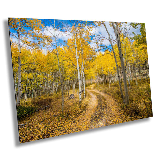 Colorado Wall Art – Mountain Landscape Print | Rustic Cabin Decor Gift