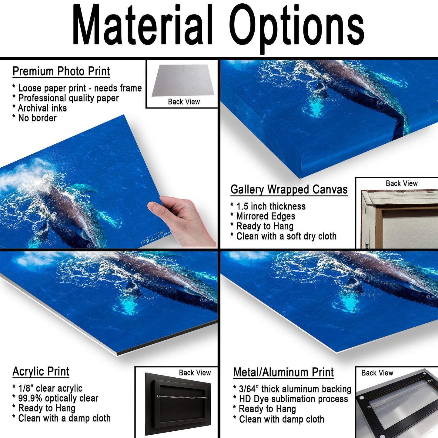 Humpback Whale Wall Art - Ocean Photo Print for Home