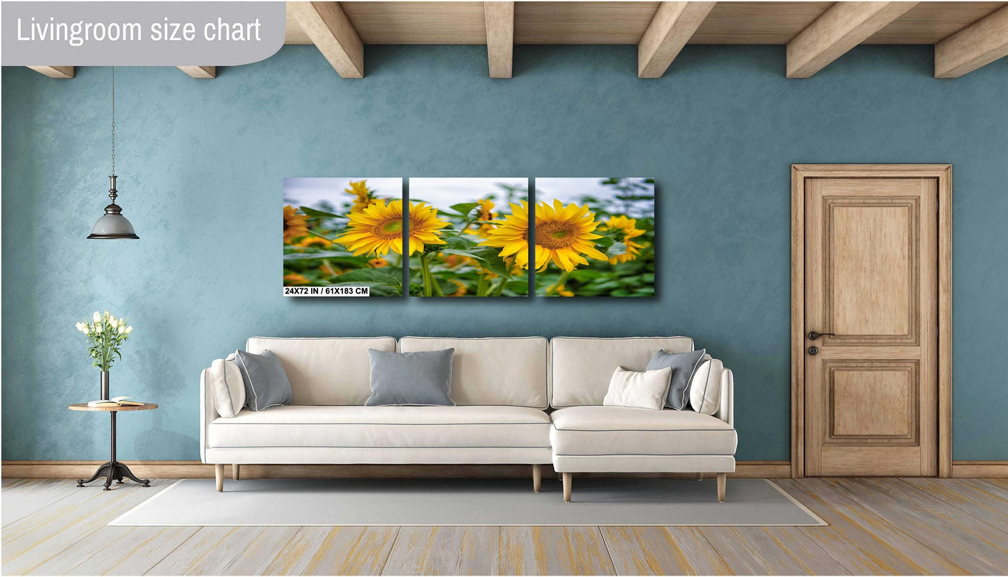 Sunflower Field Wall Art - Vibrant Yellow Sunflower Canvas Print | Rustic Farm Landscape