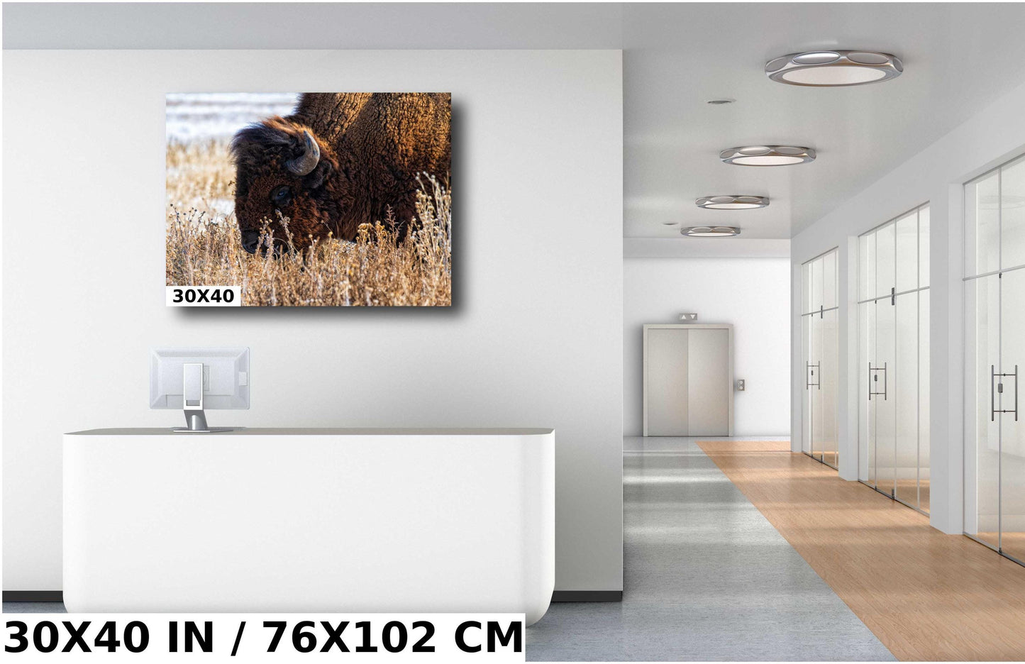 Bison Wall Art Print – Rustic Wildlife Canvas | Snowy Landscape Acrylic Decor