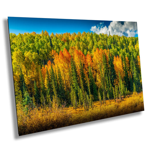 Telluride Colorado Wall Art - Mountain Landscape Print on Premium Photo Paper