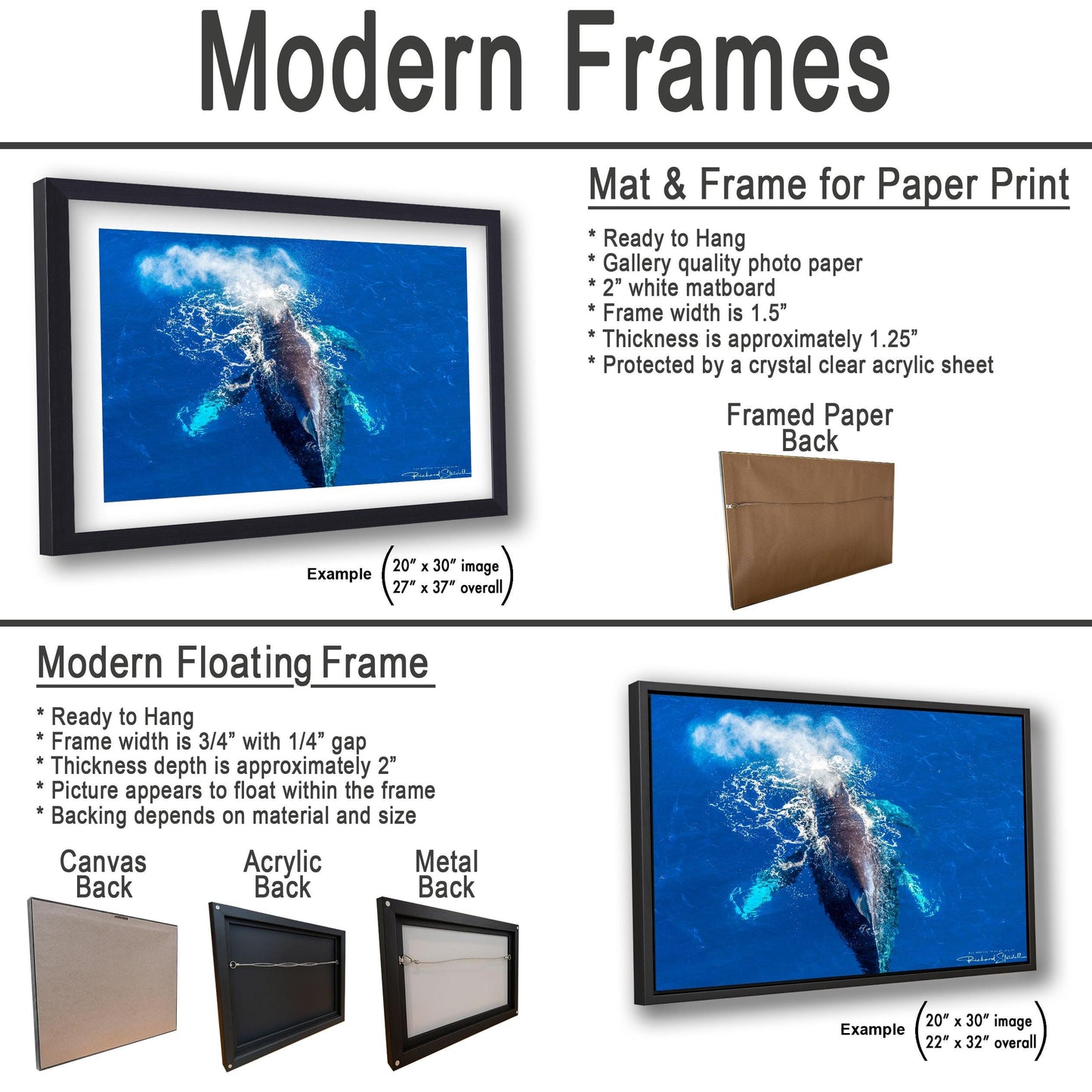 Humpback Whale Wall Art - Ocean Photo Print for Home