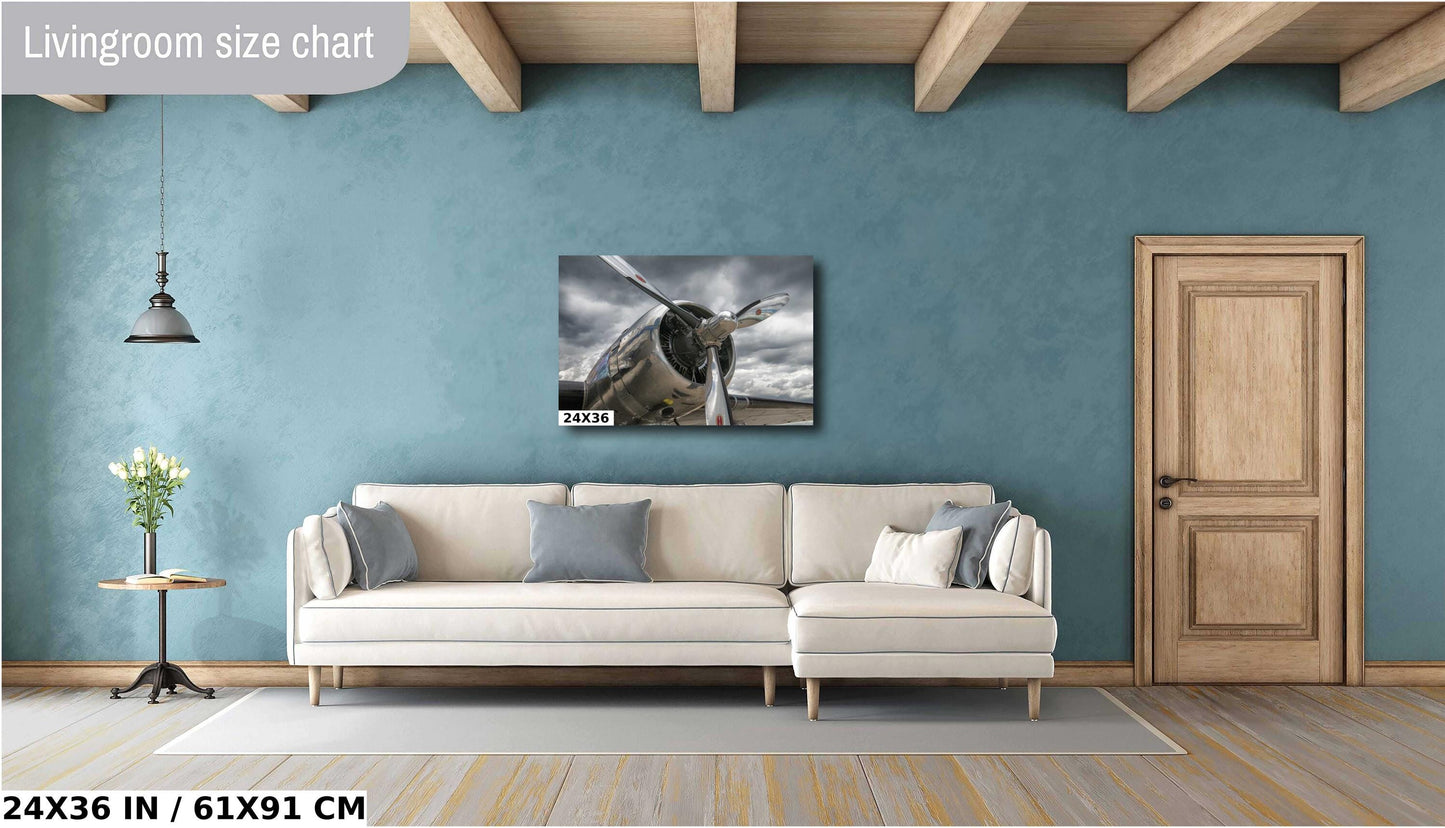 DC3 Plane Wall Art - Vintage Airplane Decor | Ready to Hang Canvas Print