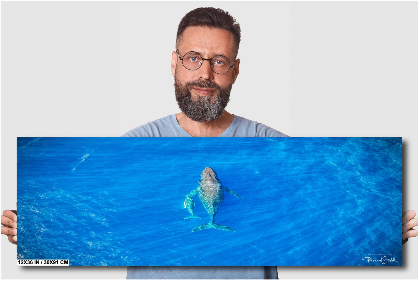 Humpback Whale Wall Art – Ready To Hang Canvas, Acrylic Photo Print & More