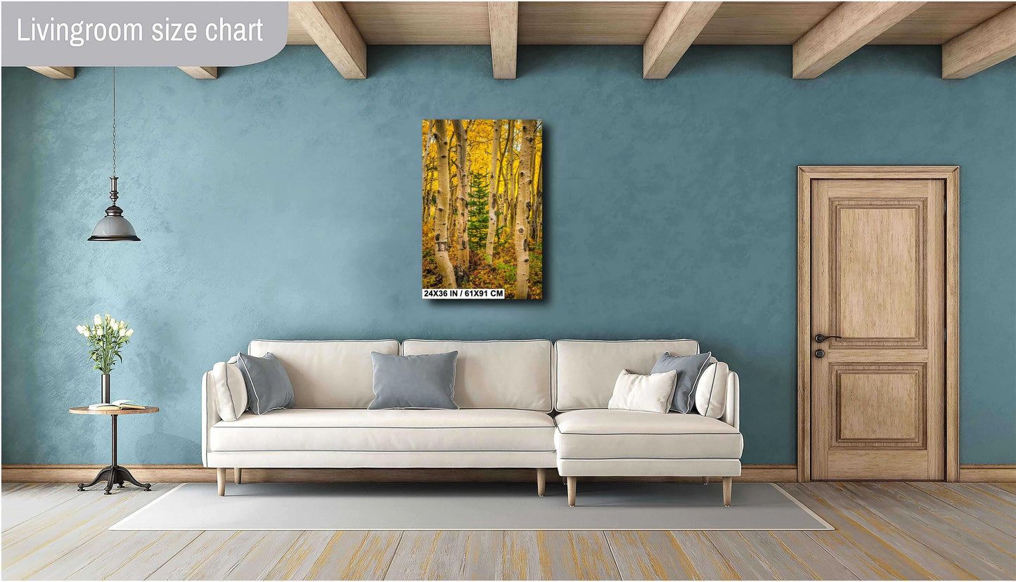 Colorado Aspen Wall Art – Large Autumn Tree Decor with Golden Leaves & Mountain Landscape Print