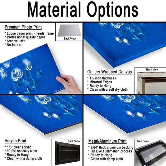 Humpback Whale Wall Art – Ocean Animal Print | Ready To Hang Canvas & Metal