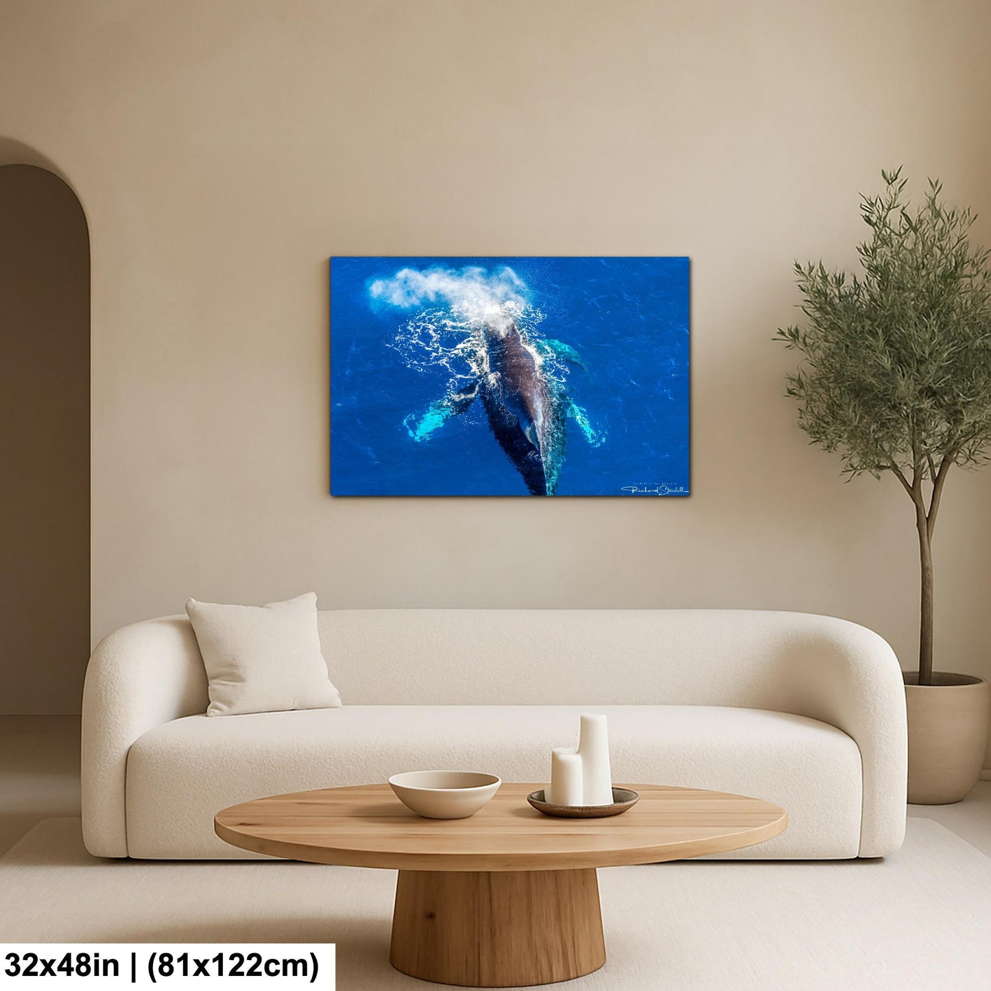Humpback Whale Wall Art - Ocean Photo Print for Home