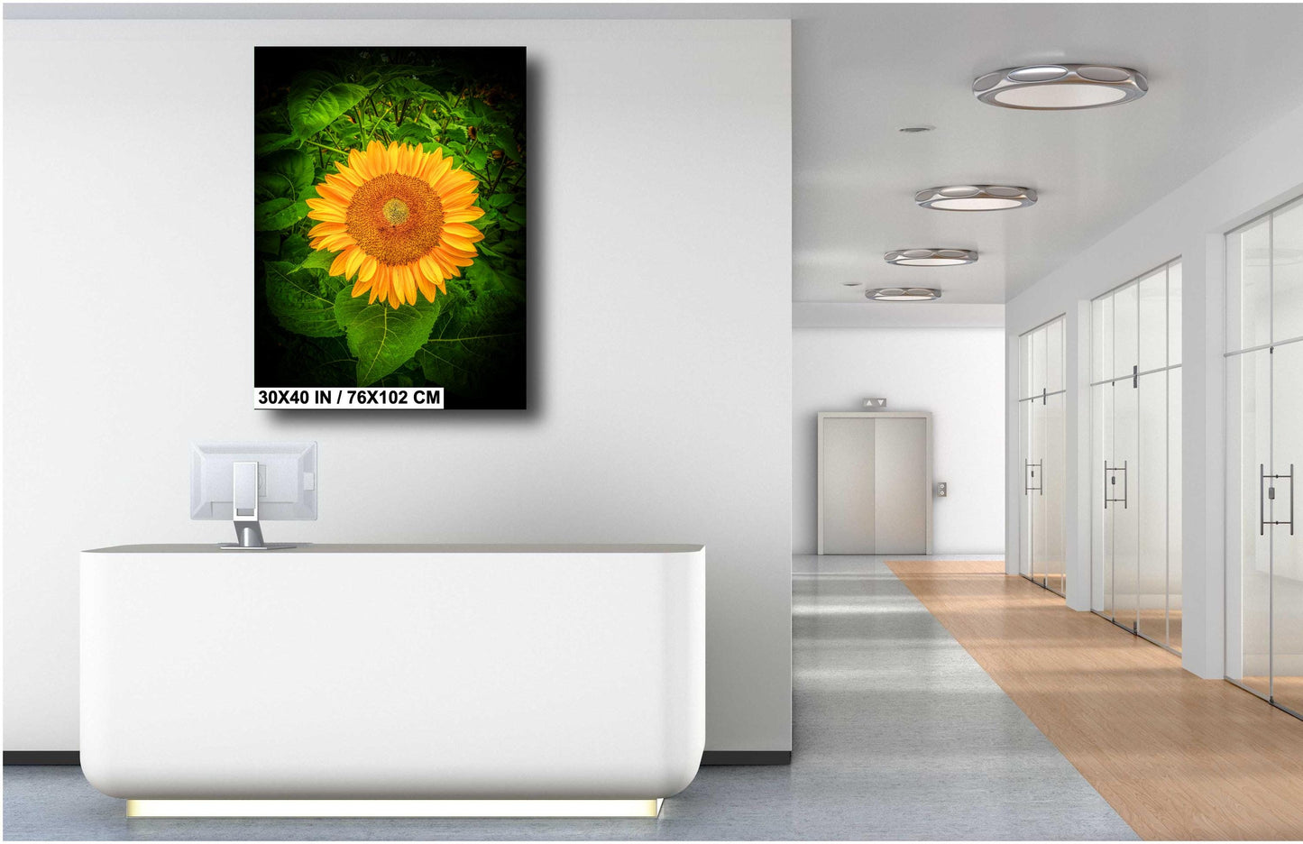 Sunflower Sunset Photo - Fine Art Photography Print | Large Canvas & Wall Art