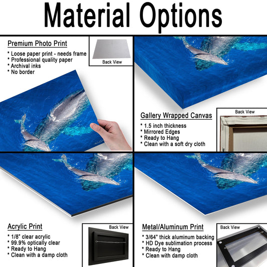 Humpback Whale Wall Art - Ocean Animal Print on Canvas, Metal, or Acrylic