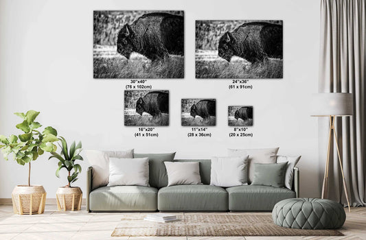Buffalo Canvas Art – Bison Wall Decor | Wildlife Photography Print | Rustic Lodge Decoration