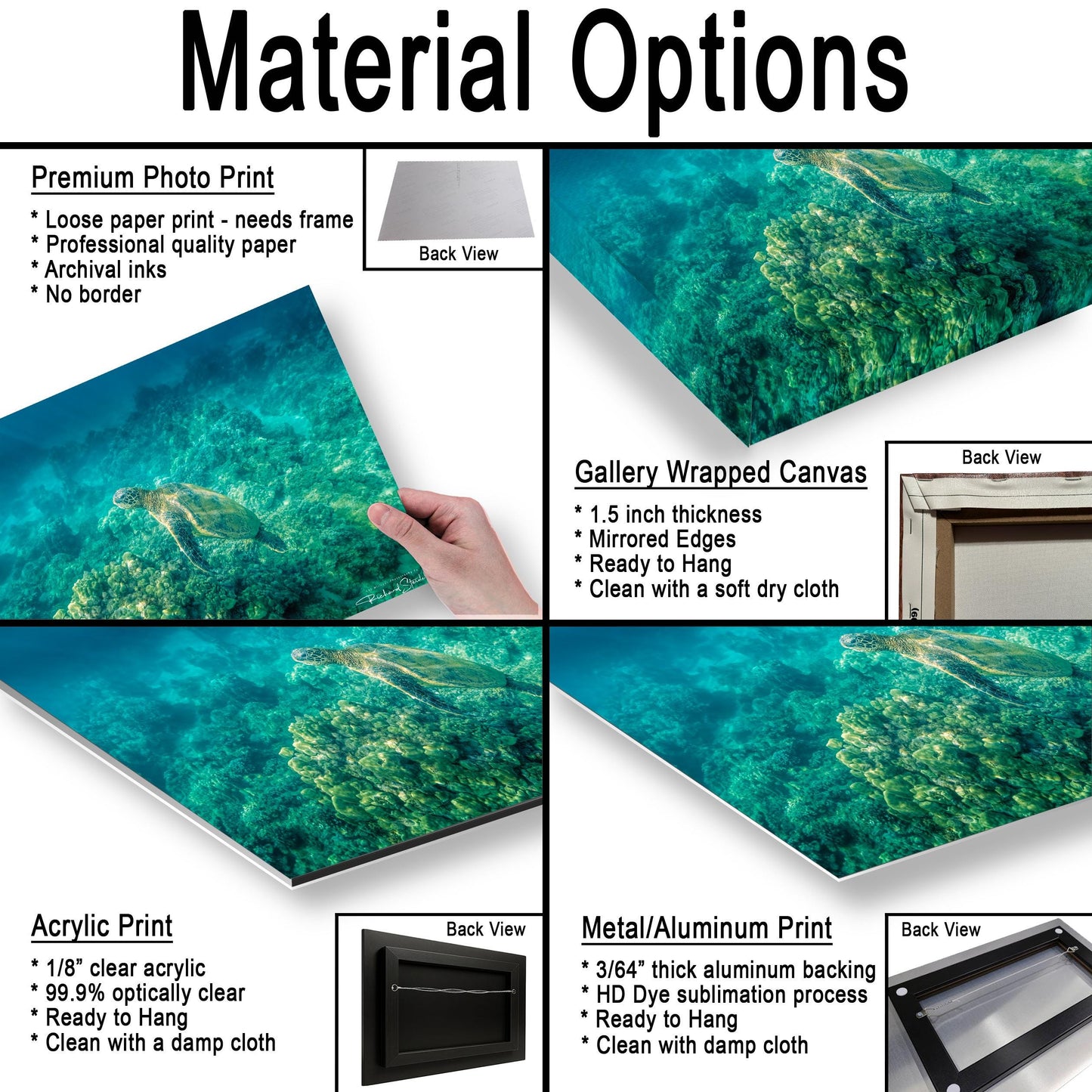 Sea Turtle Wall Art: Maui Ocean View - Tropical Coastal Decor