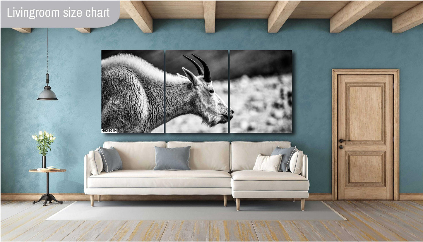 Mountain Goat Wall Art – Rustic Wildlife Photography Print | Black & White Decor