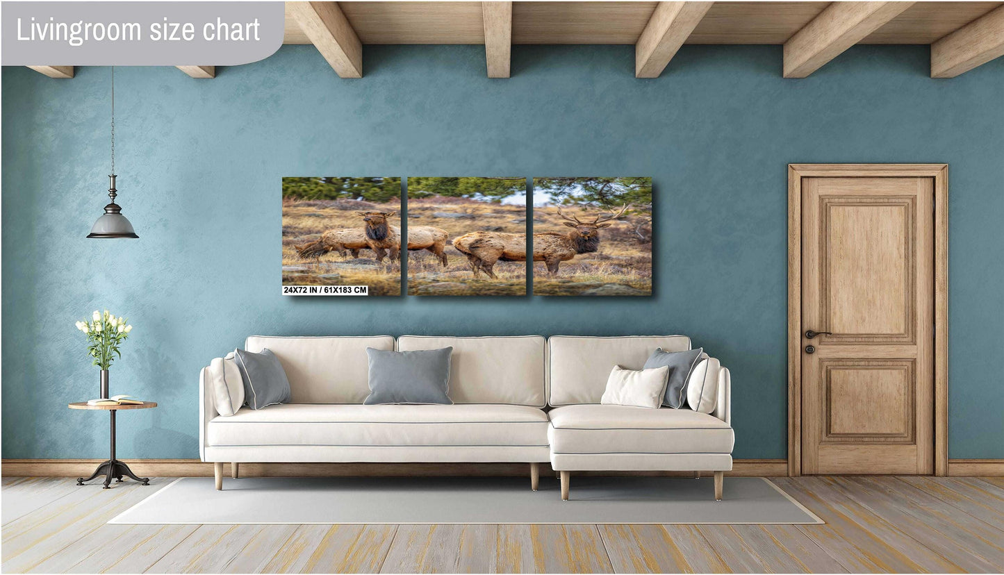 Elk Wall Art - Rocky Mountain Decor | Wildlife Print | Nature Home Decor