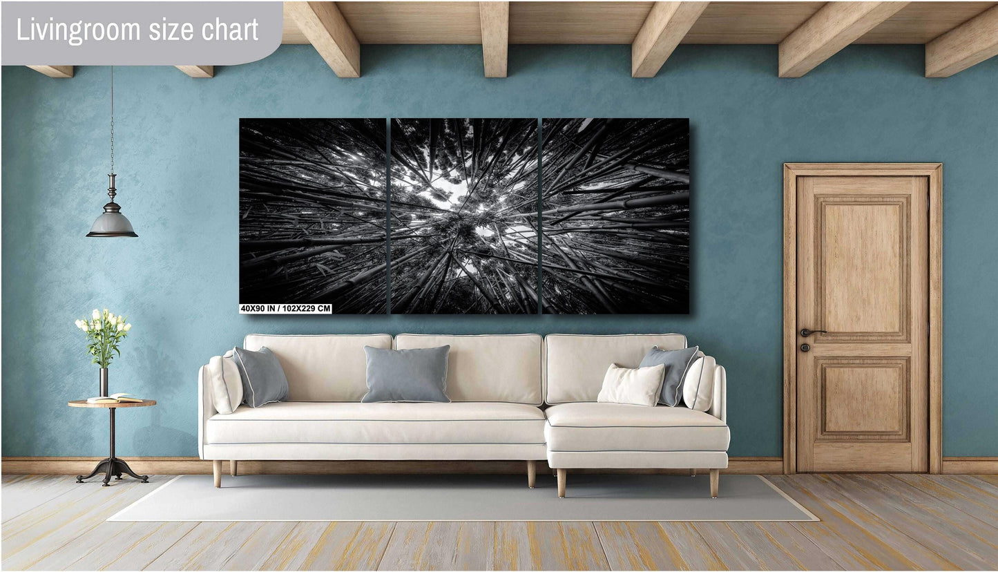 Bamboo Forest Wall Art – Nature Landscape Photography | Green Woodland Decor