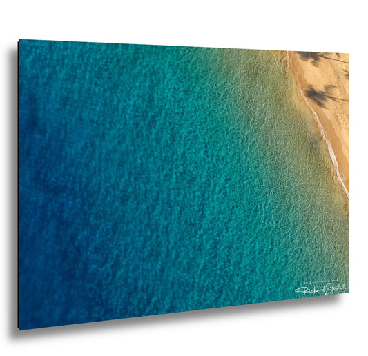 Sea Turtle Wall Art: Maui Ocean View - Tropical Coastal Decor