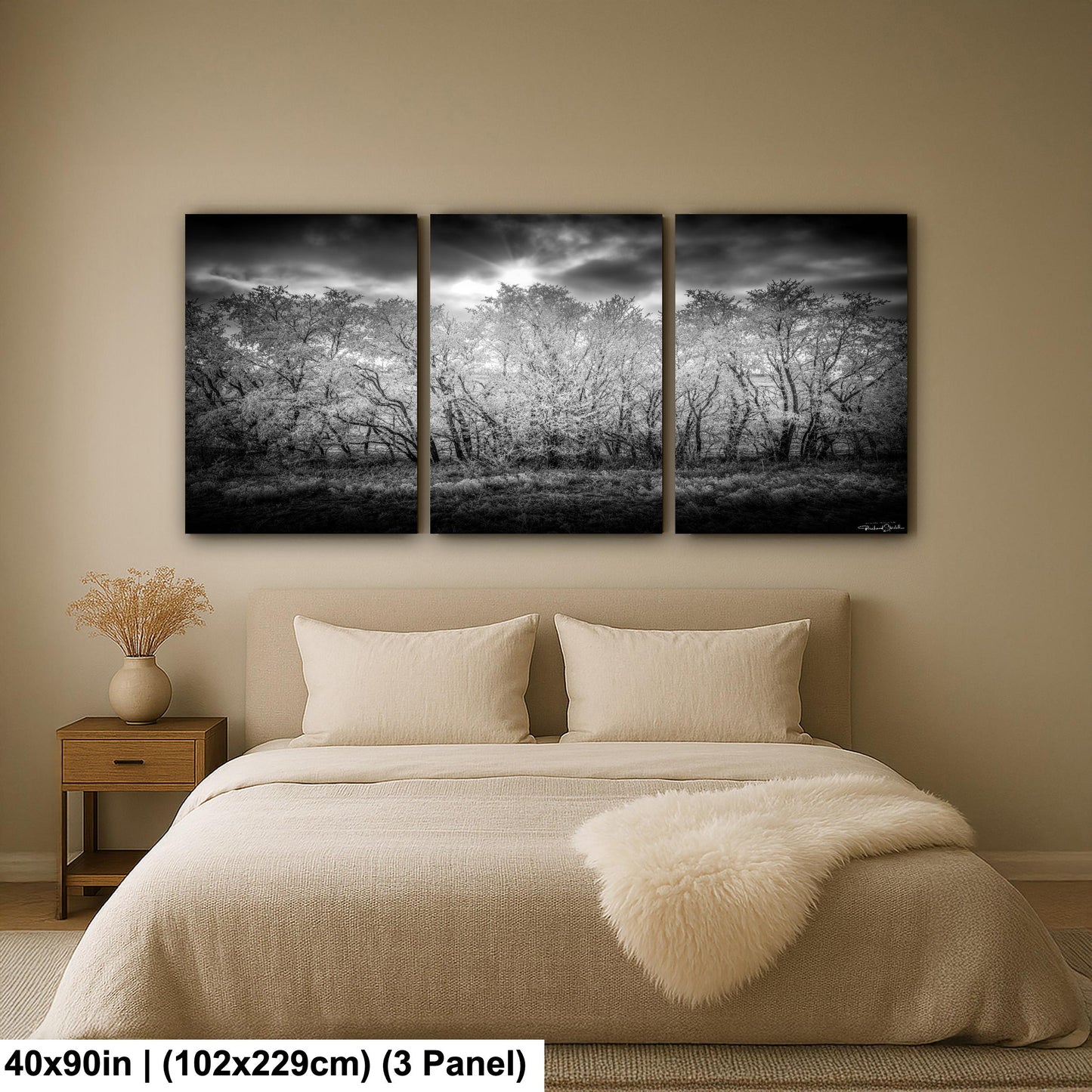 Rocky Mountain Landscape Print: Winter Nature Scene (Canvas or Metal)
