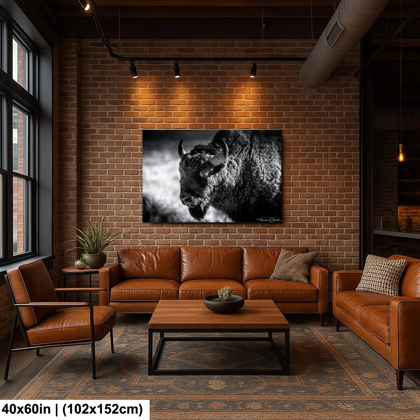Buffalo Wall Art: Rustic Wildlife Photography - Ready to Hang