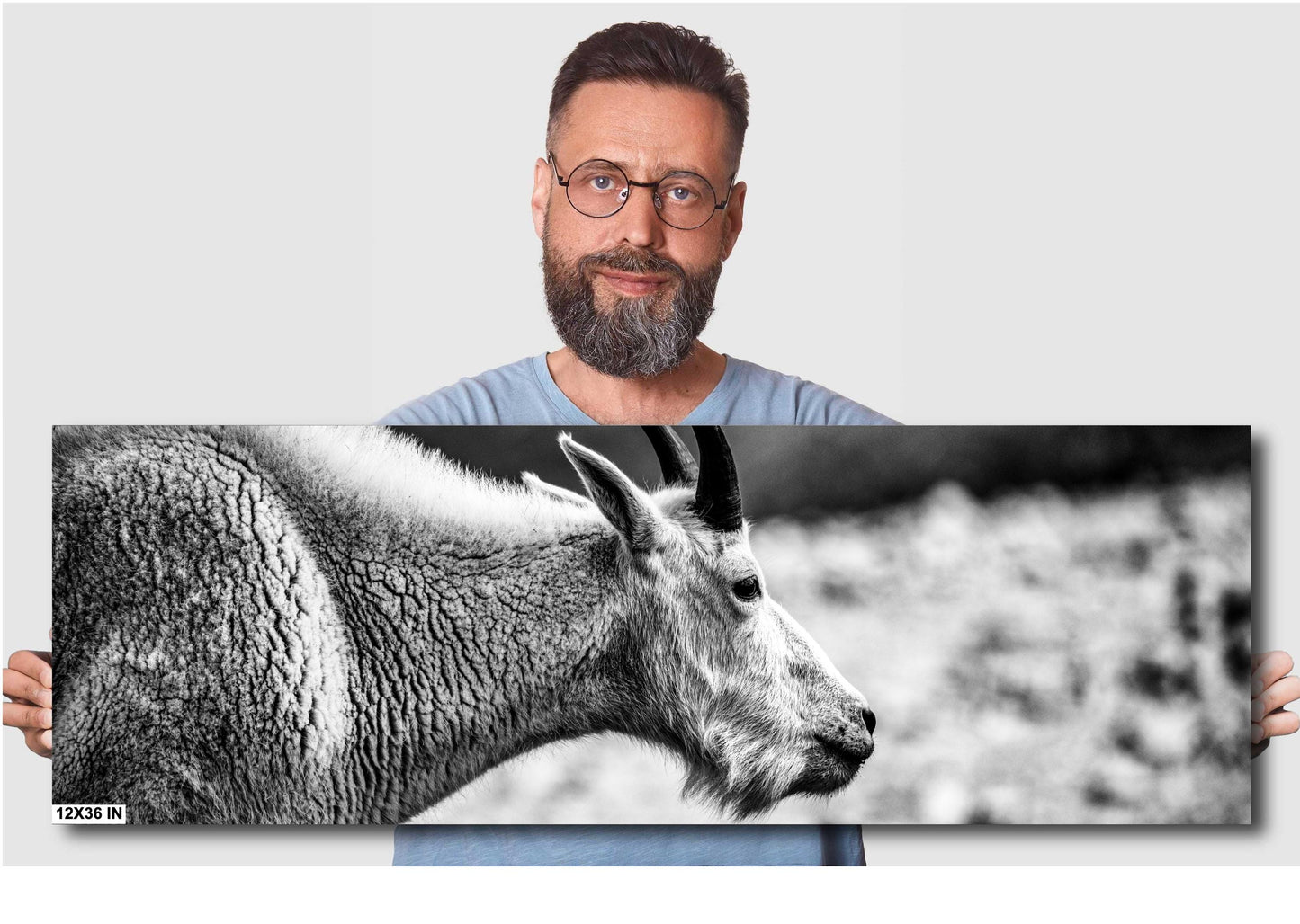 Mountain Goat Wall Art – Rustic Wildlife Photography Print | Black & White Decor