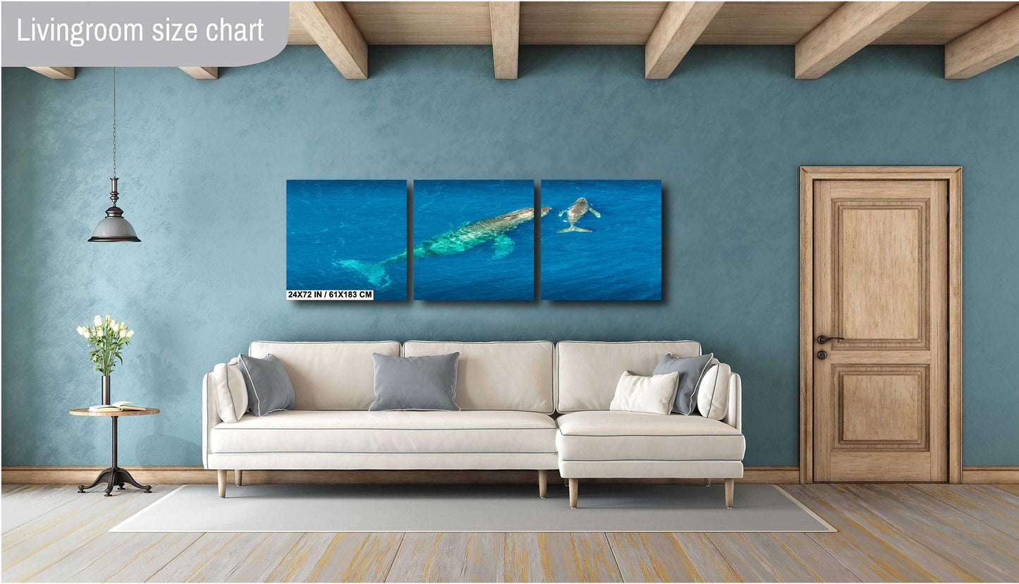 Humpback Whale Wall Art – Ocean Wall Decor | Marine Nursery Art & Coastal Home