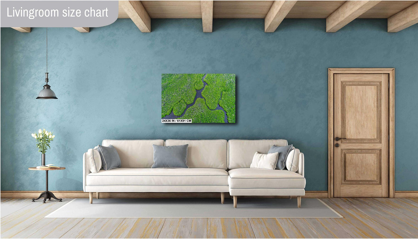 Aerial Mangrove Wall Art - Nature Photography Canvas | Eco-Friendly Tropical Décor