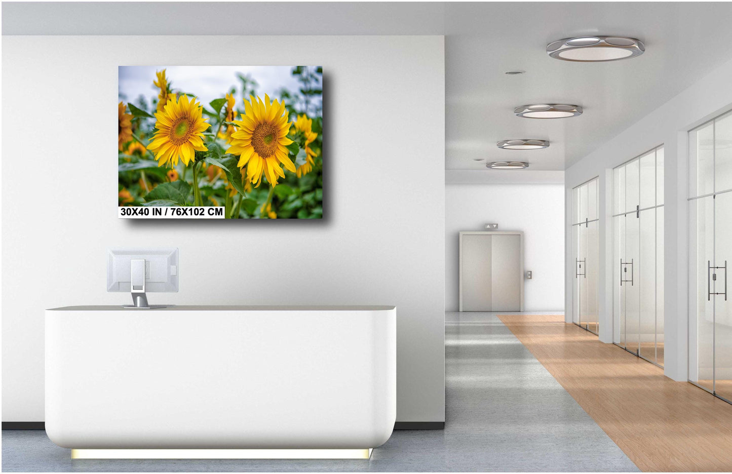 Sunflower Field Wall Art - Vibrant Yellow Sunflower Canvas Print | Rustic Farm Landscape