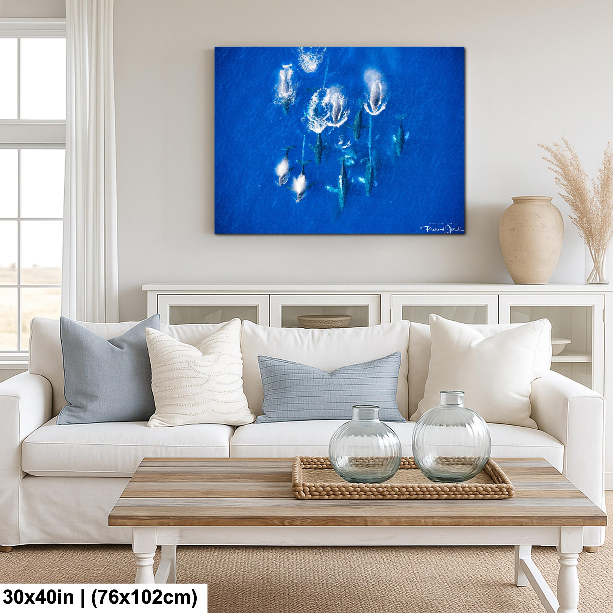 Humpback Whale Wall Art | 998 Millibar Photography Canvas