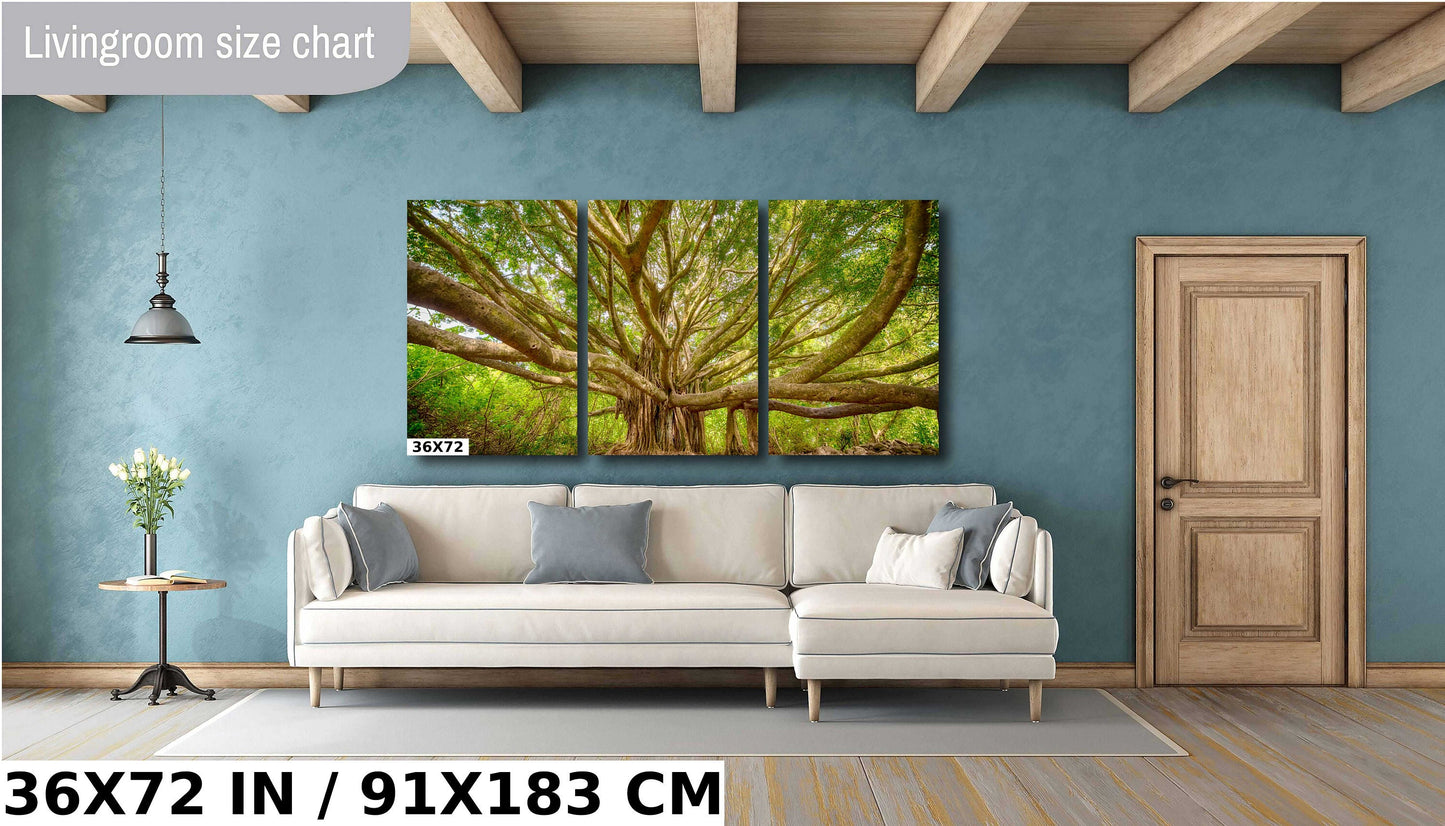 Maui Wall Art - Banyan Tree Photo on Premium Photo Paper | Hawaii Wall Decor