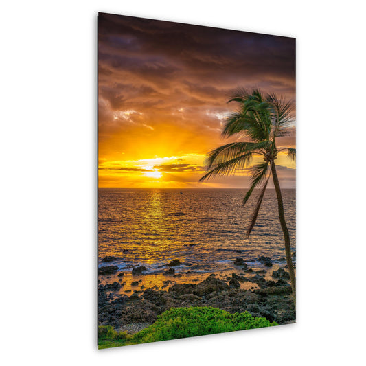 Maui Sunset Photo Print – Tropical Palm Tree Sunset Wall Art | Aluminum Metal Decor