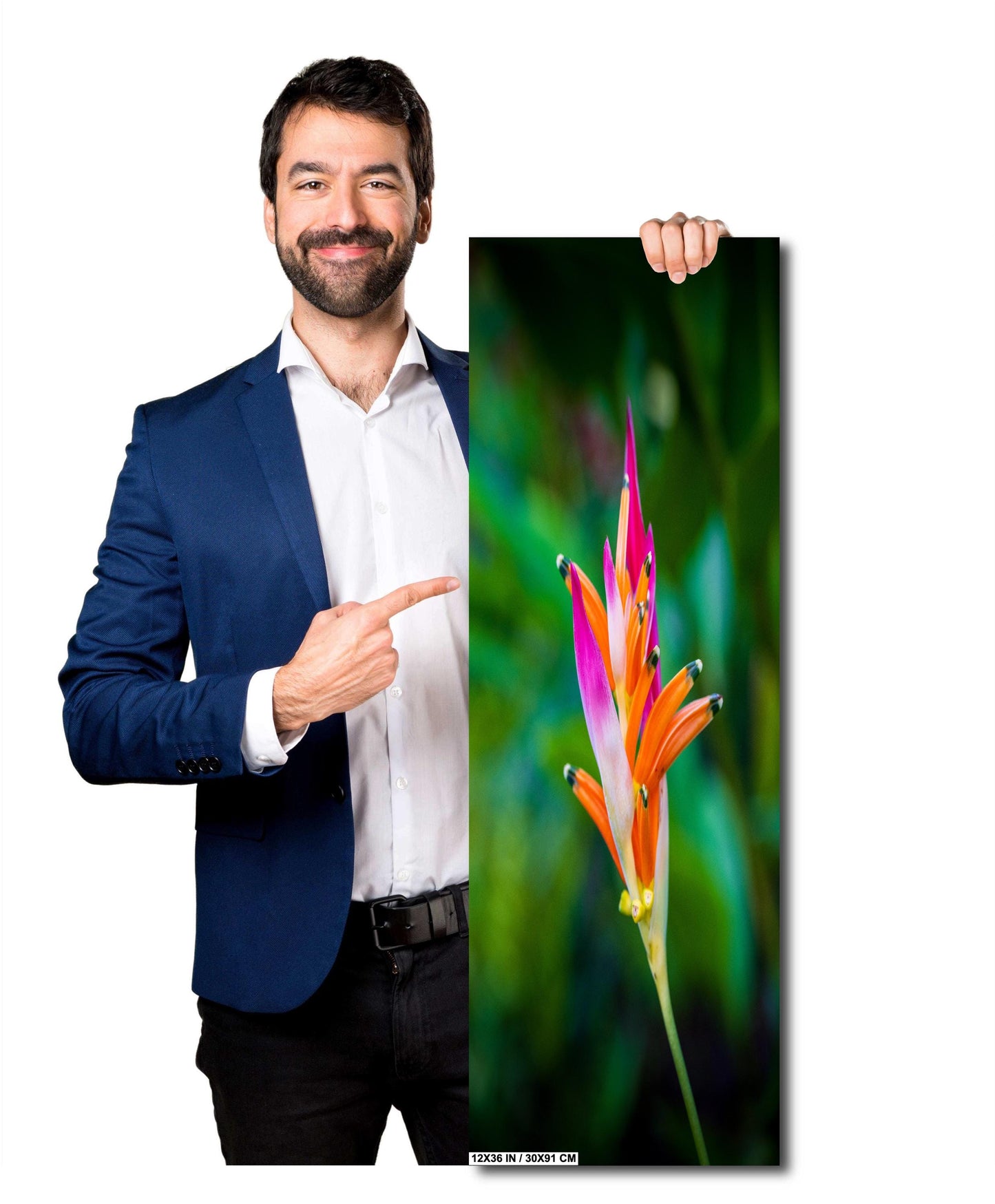 Heliconia Flower Wall Art - Tropical Flower Art | Vibrant Acrylic Prints