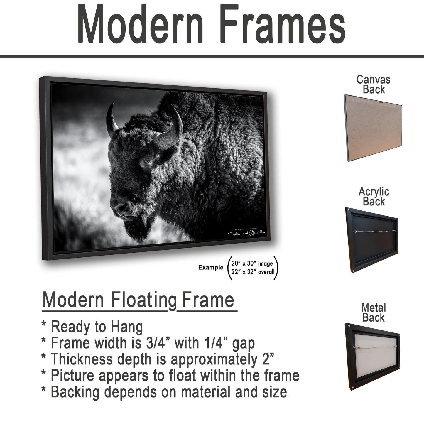 Buffalo Wall Art: Rustic Wildlife Photography - Ready to Hang