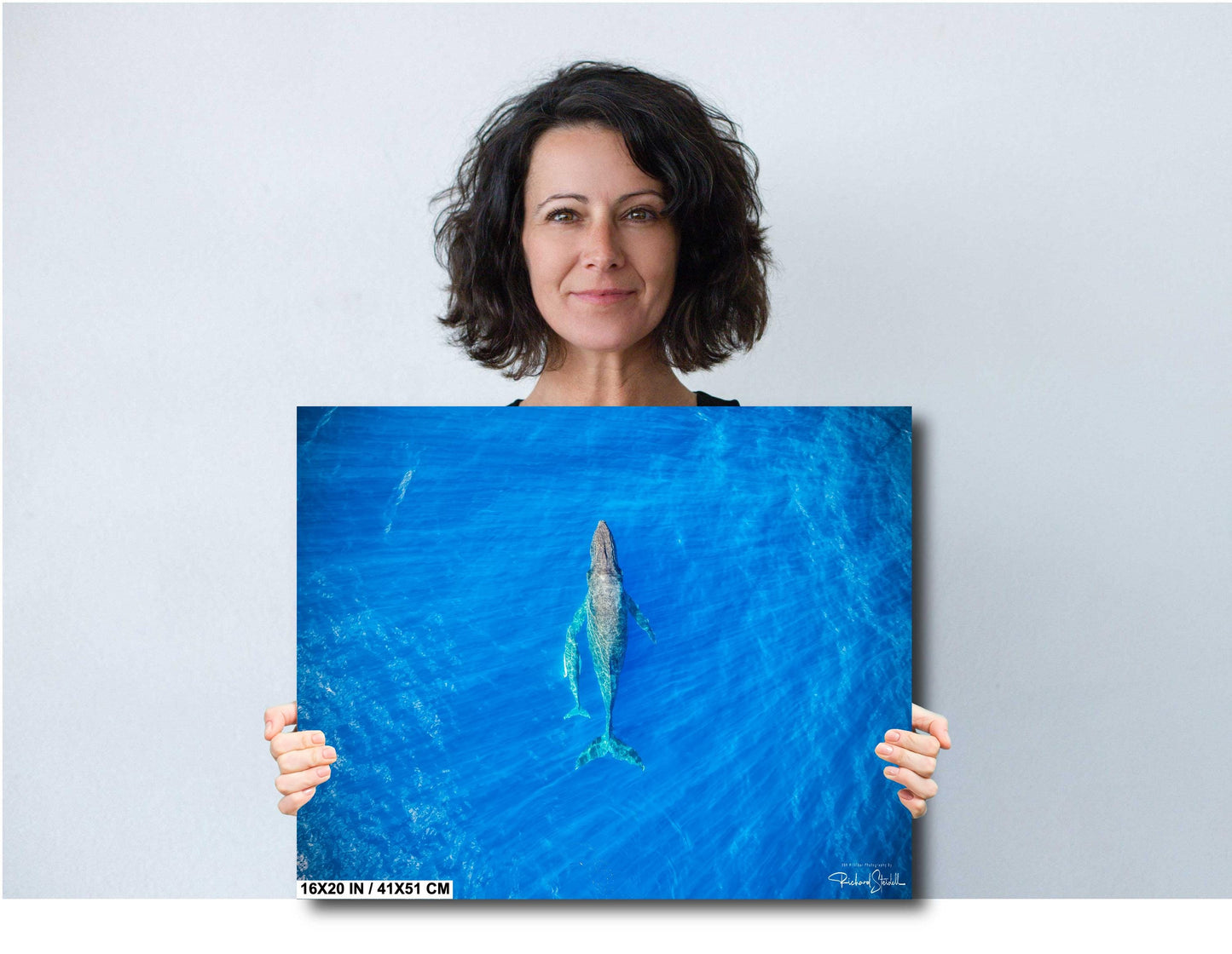 Humpback Whale Wall Art – Ready To Hang Canvas, Acrylic Photo Print & More