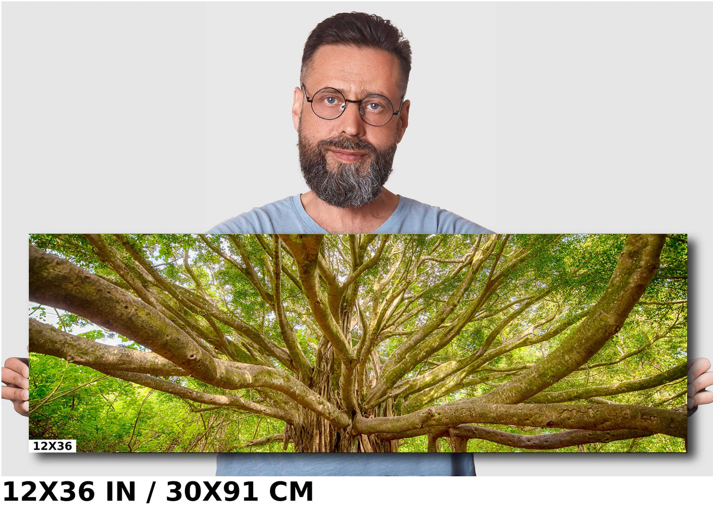 Maui Wall Art - Banyan Tree Photo on Premium Photo Paper | Hawaii Wall Decor