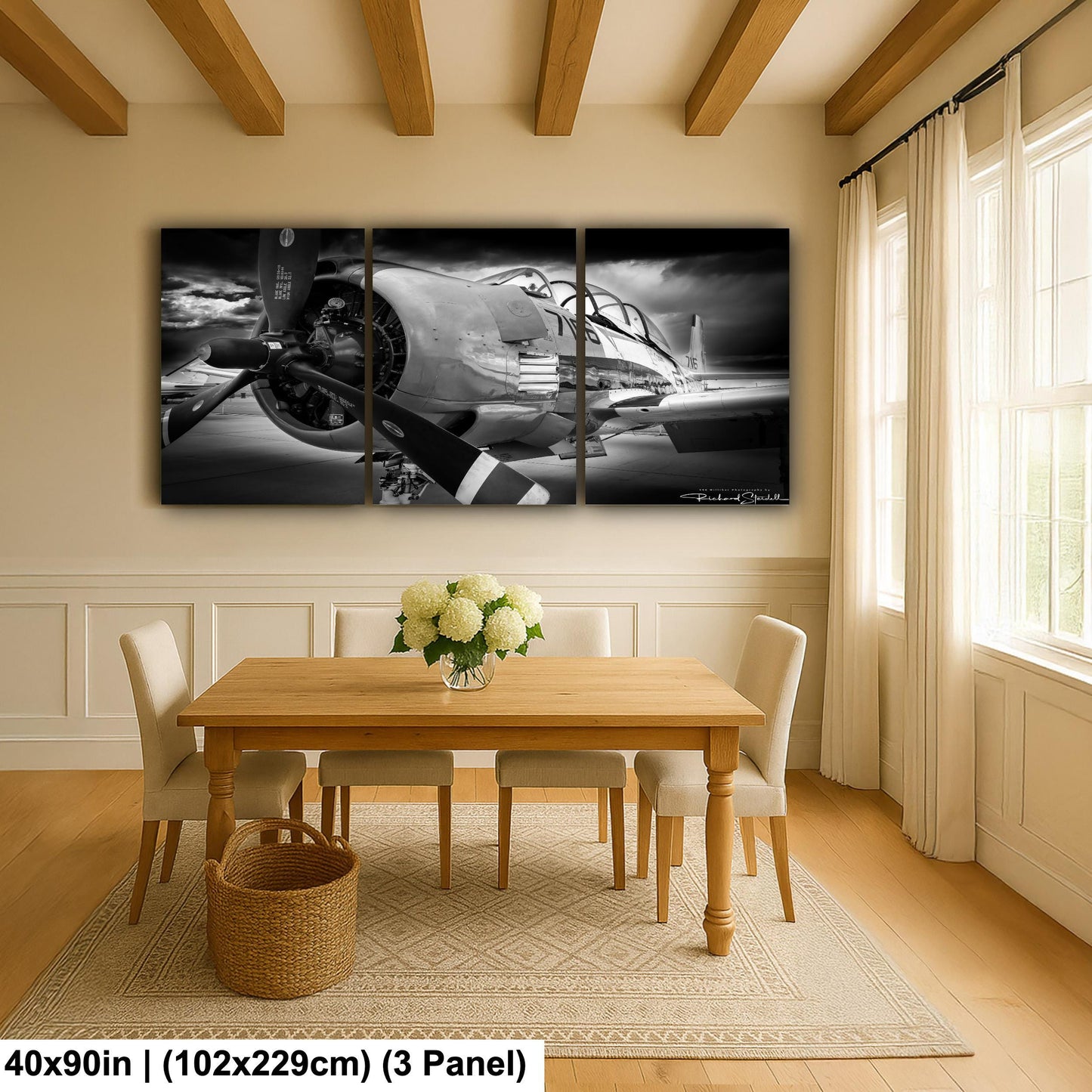Vintage Airplane Print - Retro Aviation Decor | Acrylic Flight Art Wall