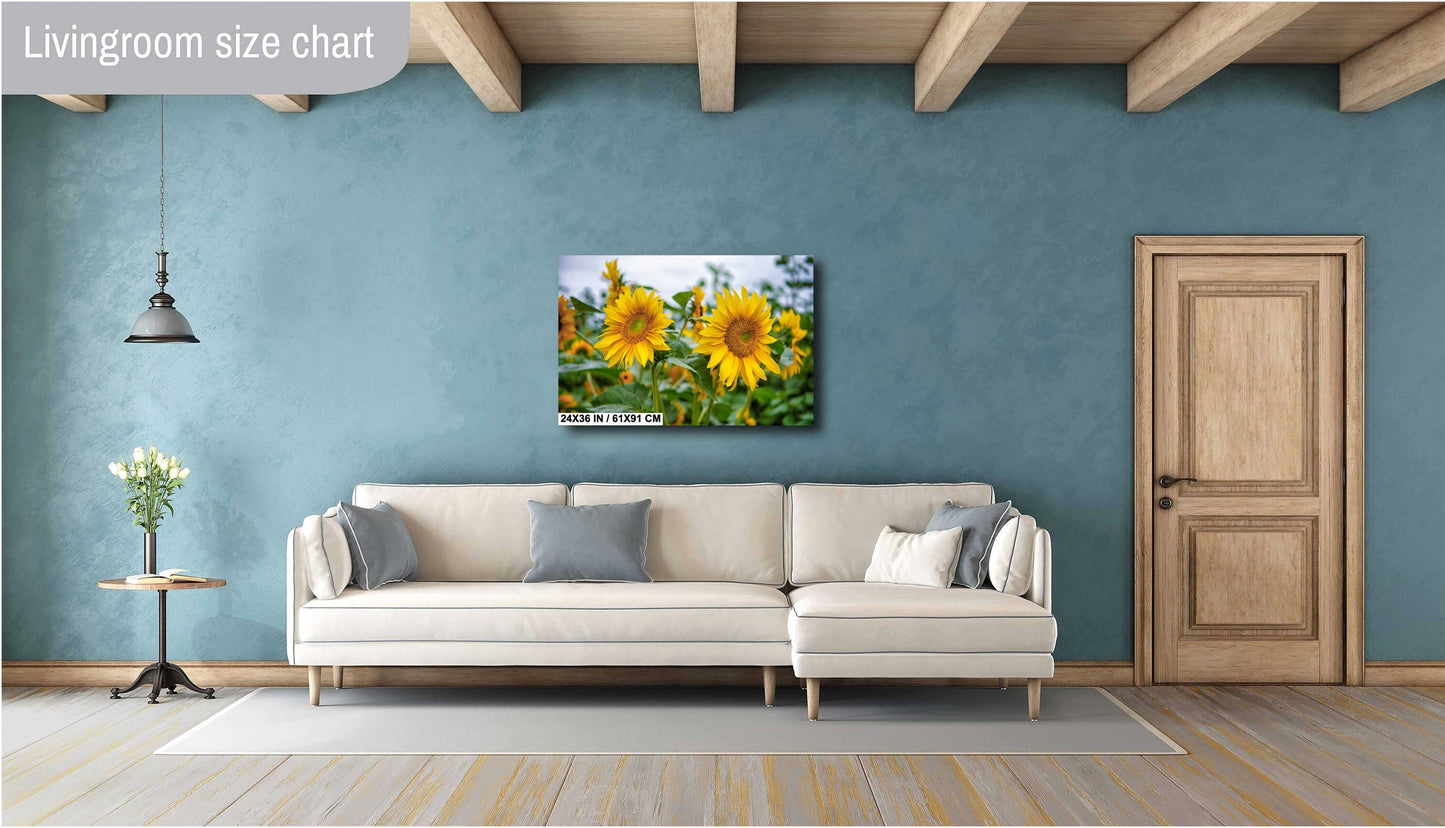 Sunflower Field Wall Art - Vibrant Yellow Sunflower Canvas Print | Rustic Farm Landscape