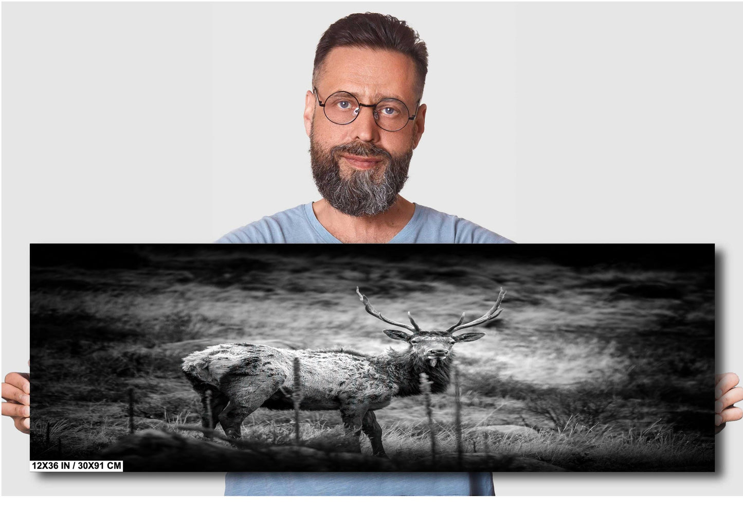 Elk Wall Art - Rocky Mountain Decor | Wildlife Wall Decor for Nature Lovers