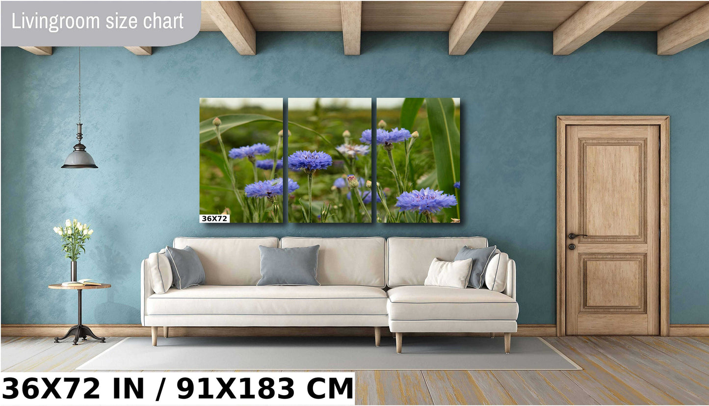 Colorado Wildflower Photo - Vivid Color Photograph | Ready to Hang Canvas & Metal Print