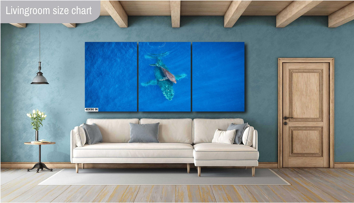 Maui Whale Wall Art | Hawaiian Whale Art – Coastal Home Decor Canvas
