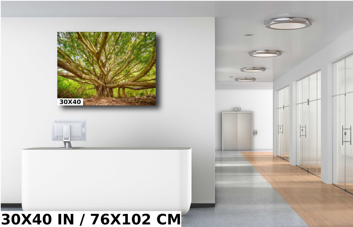 Maui Wall Art - Banyan Tree Photo on Premium Photo Paper | Hawaii Wall Decor