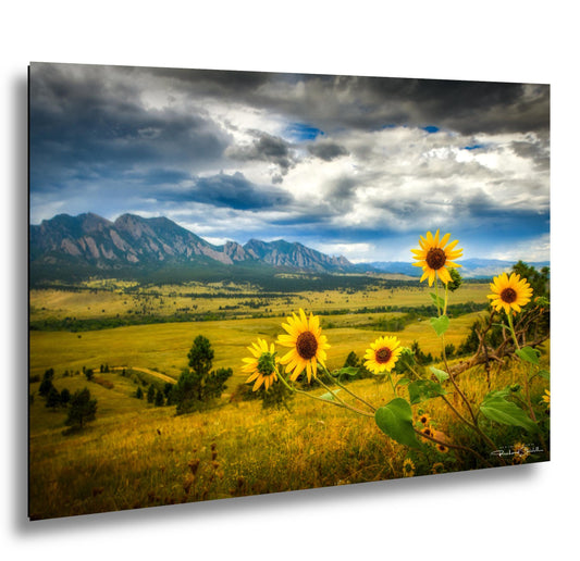 Boulder Flatirons Canvas Print, Colorado Mountains (Multiple Sizes)