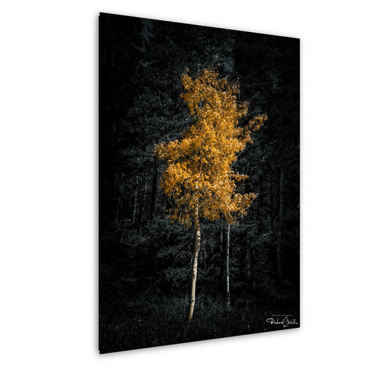 Aspen Tree Wall Art – Colorado Landscape Print | Rustic Fall Decor for Living Room